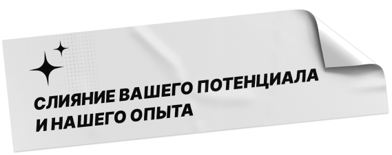 Слияние вашего потенциала и нашего опыта | INERA